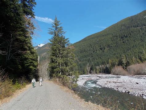 Carbon River Road Hike Visit Rainier