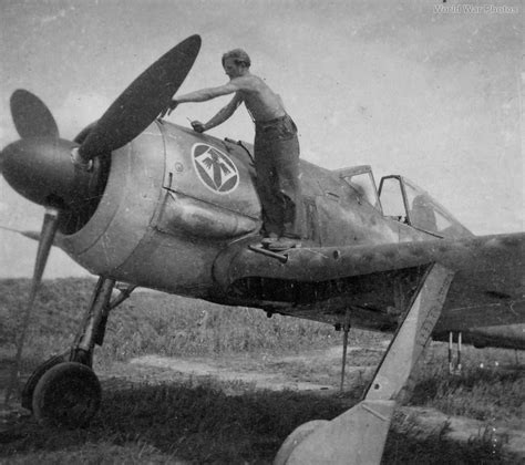 Fw 190 Of The Jg 1 World War Photos