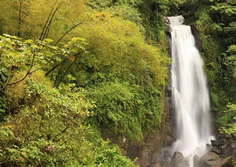 The 5 Best Trafalgar Falls Tours And Tickets 2021 Dominica Viator