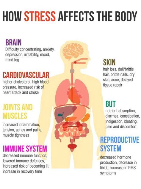 How Stress Affects Human Body Charts