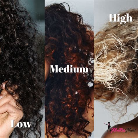 Hair Porosity 101 The Ultimate Guide The Mestiza Muse