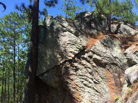 Driving directions take a virtual tour download gpx file. Tower Trail : Exploring Alabama