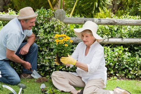 Top Hobbies That Seniors And Old People Are Taking Up