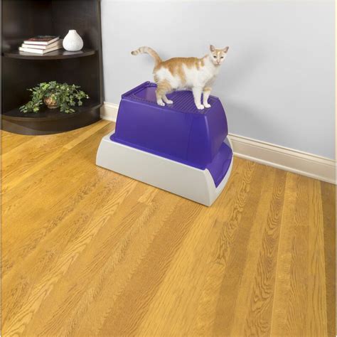 Petsafe Scoopfree Plastic Enclosed Automatic Litter Box With Scoop