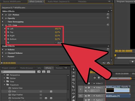 Aside from letting you distribute saved videos on social media. How to Crop a Video in Adobe Premiere Pro: 10 Steps