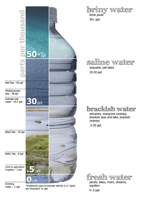 महासागरीय जल की लवणता Salinity Of Ocean Water