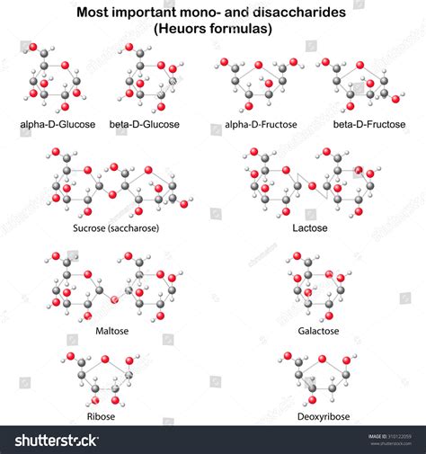 Chemical Models Main Mono Disaccharides Glucose Stock Illustration