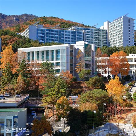 Trường đại Học Quốc Gia Pusan National University Hàn Quốc Trung Tâm