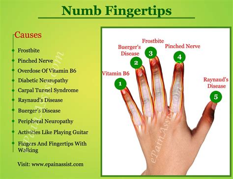 Numb Fingertipswhat Can Cause Your Fingertips To Go Numb Numbness