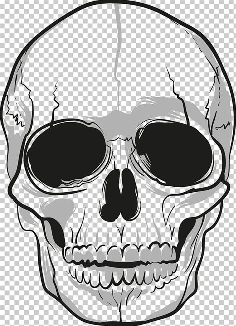 Skull Png Free Download Skull Skull Art Drawing Png Images For