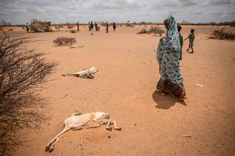 Sequía Histórica En Somalia Y Etiopía Las Condiciones Más Secas Observadas Para Esta
