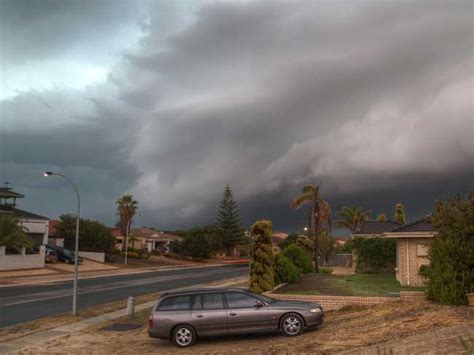 Wa Zoologist Perth Storms