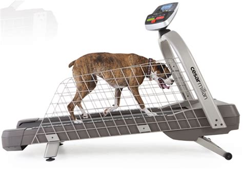 New Proform Dog Treadmill