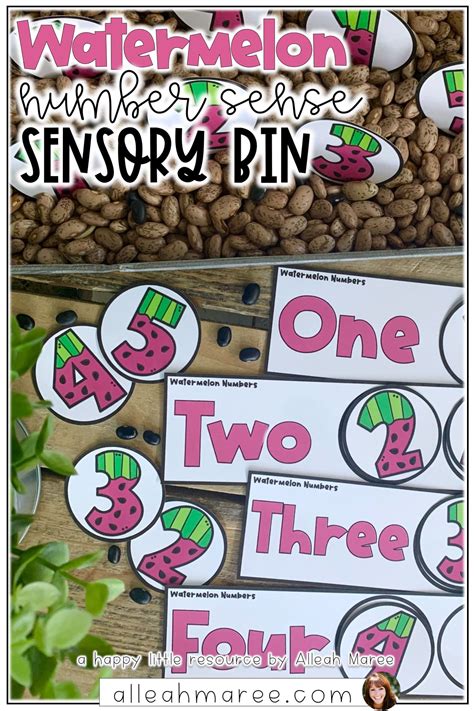 Watermelon Number Sense Summer Sensory Bin For Counting And Number