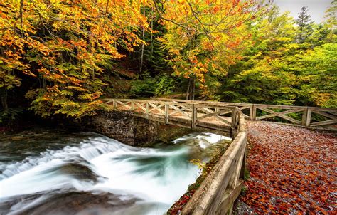 Wallpaper Autumn Bridge River Paint Foliage Waterfall Autumn