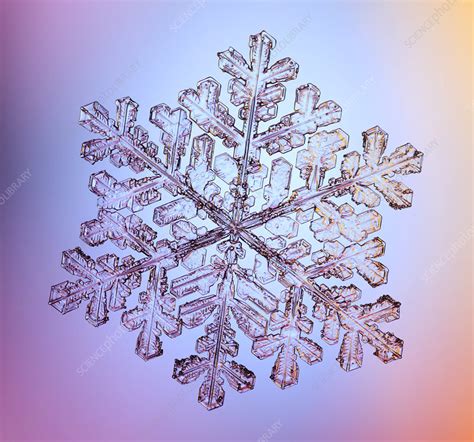 Snowflake Stock Image C0118988 Science Photo Library