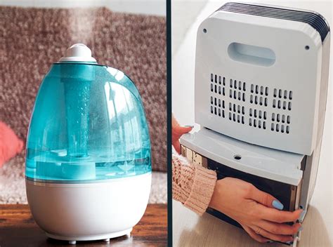 Humidifier Vs Dehumidifier Compare And Decide Which One You Need