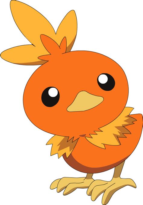 Image Torchic Ag Anime Png Sonic Pokémon Wiki Fandom Powered By Wikia