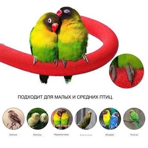 U-образная подставка для попугаев/аксессуары клеток птиц/используется ...