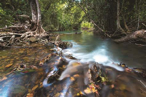 Travel The Wet Tropics World Heritage Area Australian Geographic