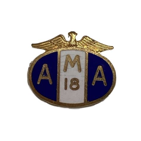 American Motorcycle Association Pins 18 2 Now Or Never