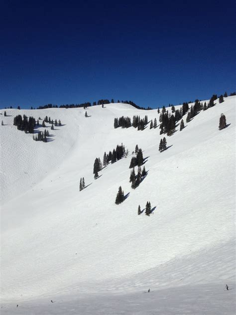 Vail Back Bowls Ski Culture Colorado Skiing Ski Trip