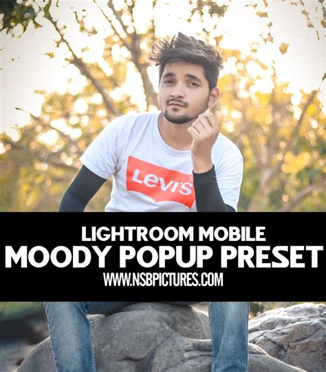 These presets focuses on moody tones, thunder blues and a beautiful tan skin. moody pop up lightroom mobile preset - FREE download ...
