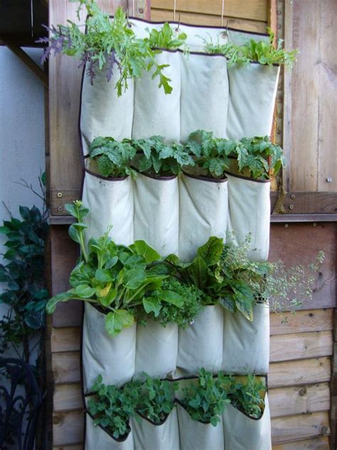 4 Vertical Gardening With Shoe Organizer Via Simphome Vertical Garden