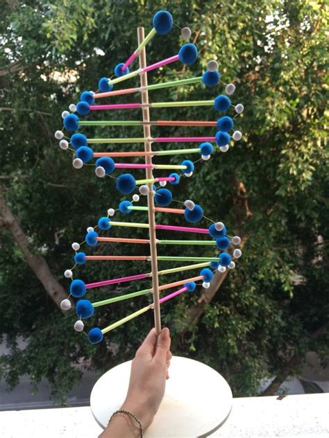 Pin By Serena Benavidez On Projects To Try Dna Model Project Dna