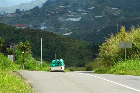 Desa cow farm is the home of the local desa milk brand and the farm is popular with both locals and tourists, and it's not hard to see why! Everything About Wood: Desa Cattle Dairy Farm, Kundasang