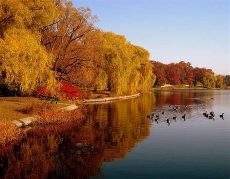 10 Breathtaking Places To See Fall Colours Near Toronto Ultimate Ontario