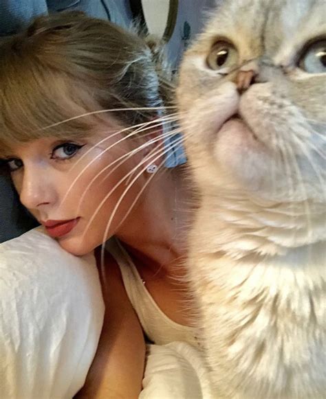 taylor swift cats benjamin button newspaper