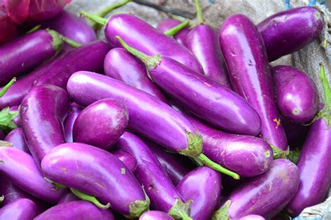 Eggplants By Elena Bahareva Eggplant Vegetables Food