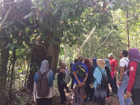 Silakan klik this is blue lagoon hutan simpan ayer hitam puchong untuk melihat artikel selengkapnya. Hutan Simpan Ayer Hitam & Geronggang - MajalahSains
