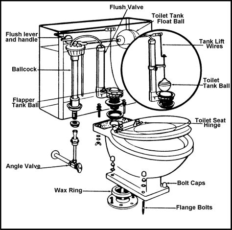 Toilet Septic Tank Diagram Prosecution