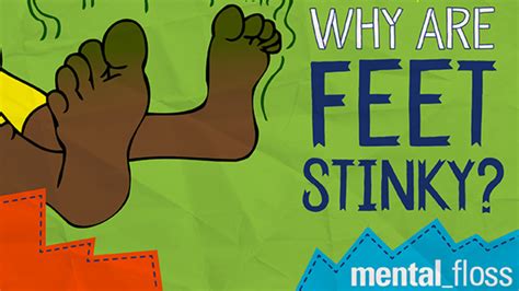Why Are Feet So Stinky Mental Floss