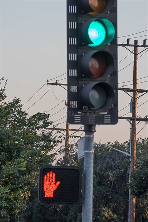 A Traffic Light On Green Indicatiing Go And Pedestrian Walk Light Red