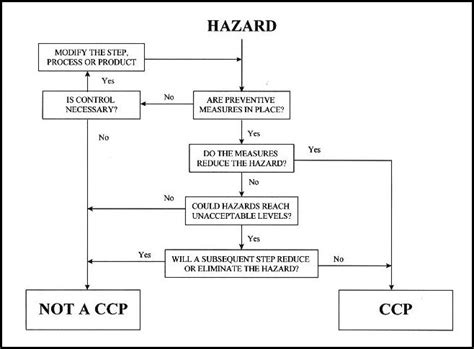 Haccp Flow Chart Template