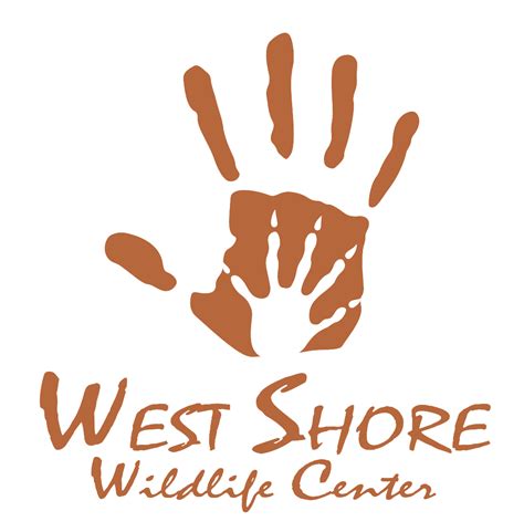 Donate To West Shore Wildlife Center West Shore Wildlife Center