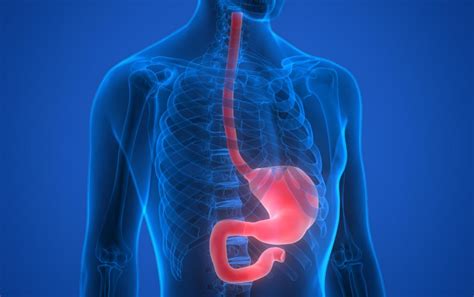 Esophageal Spasm Causes Symptoms And Treatments