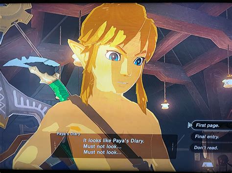 Pin On The Legend Of Zelda