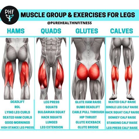 Leg Workout At Home Leg And Glute Workout Leg Day Workouts Body