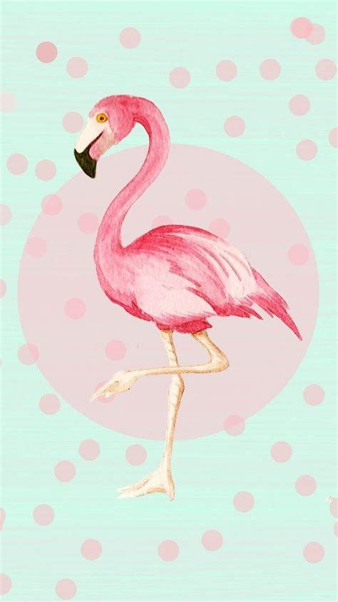 Flamingo Pink Wallpapers Wallpaper Cave