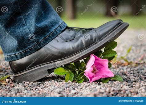 Esmagando A Flor Foto De Stock Imagem De Financeiro 27608928