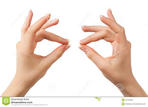 Woman Hands Royalty Free Stock Image Image 19142296