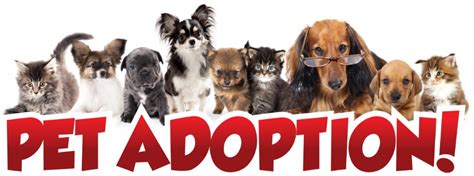 Adoptions by appointment are available. Humane Society - Animal Shelter, Inc. of Sterling