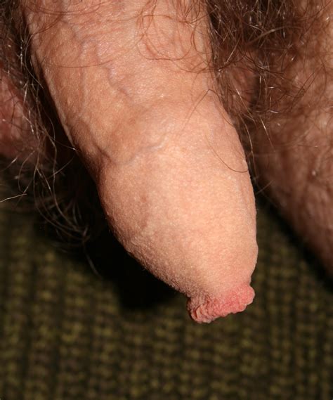 Circumcised Women Vagina Cumception