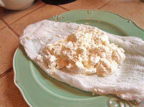 The Alchemist How To Make Homemade Cottage Cheese