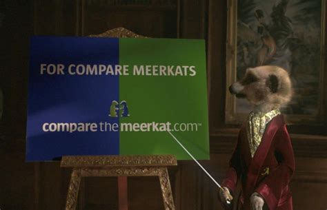 Compare The Market Compare The Meerkat 2009