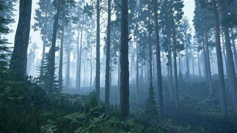 Misty Pine Forest (Cryengine 3), Michael Susha | Misty forest, Forest backdrops, Forest wallpaper